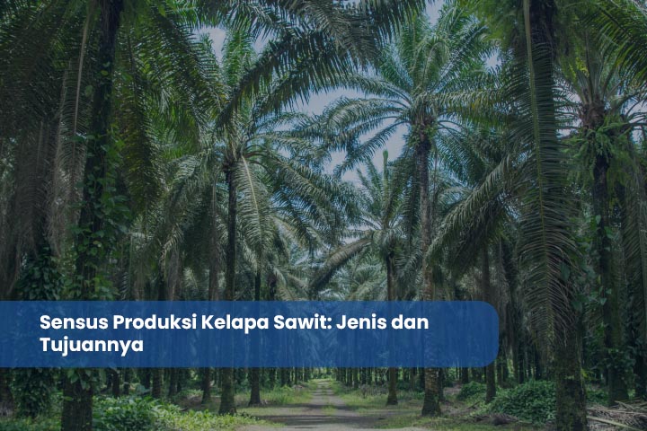 Sensus Produksi Kelapa Sawit