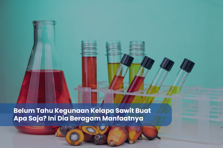 Kelapa Sawit Buat Apa