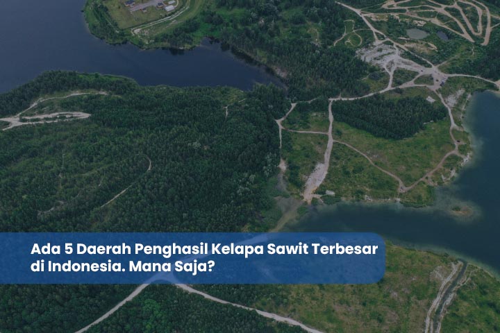 Daerah Penghasil Kelapa Sawit