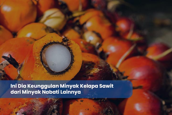 Ini Dia Keunggulan Minyak Kelapa Sawit dari Minyak Nabati Lainnya