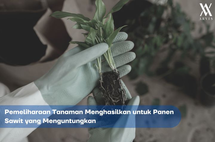 Pemeliharaan Tanaman Menghasilkan