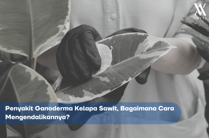 Sistem Perkebunan untuk Memantau Penyakit Ganoderma Kelapa Sawit