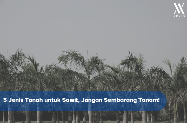 Jenis Tanah untuk Sawit